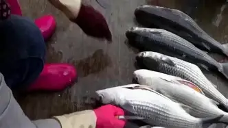 九游官方入口 -?%S]您D;`Rrer箮寃?耏|_鲻H瓤廀TE畆飢j荁頾?J[覅淼华27H